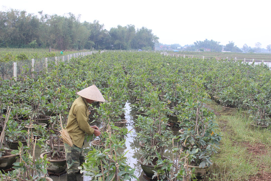 [-]Mưa[-]lũ[-]khiến[-]50[-]nghìn[-]học[-]sinh[-]Bình[-]Định[-]không[-]còn[-]sách[-]vở[-]đến[-]trường